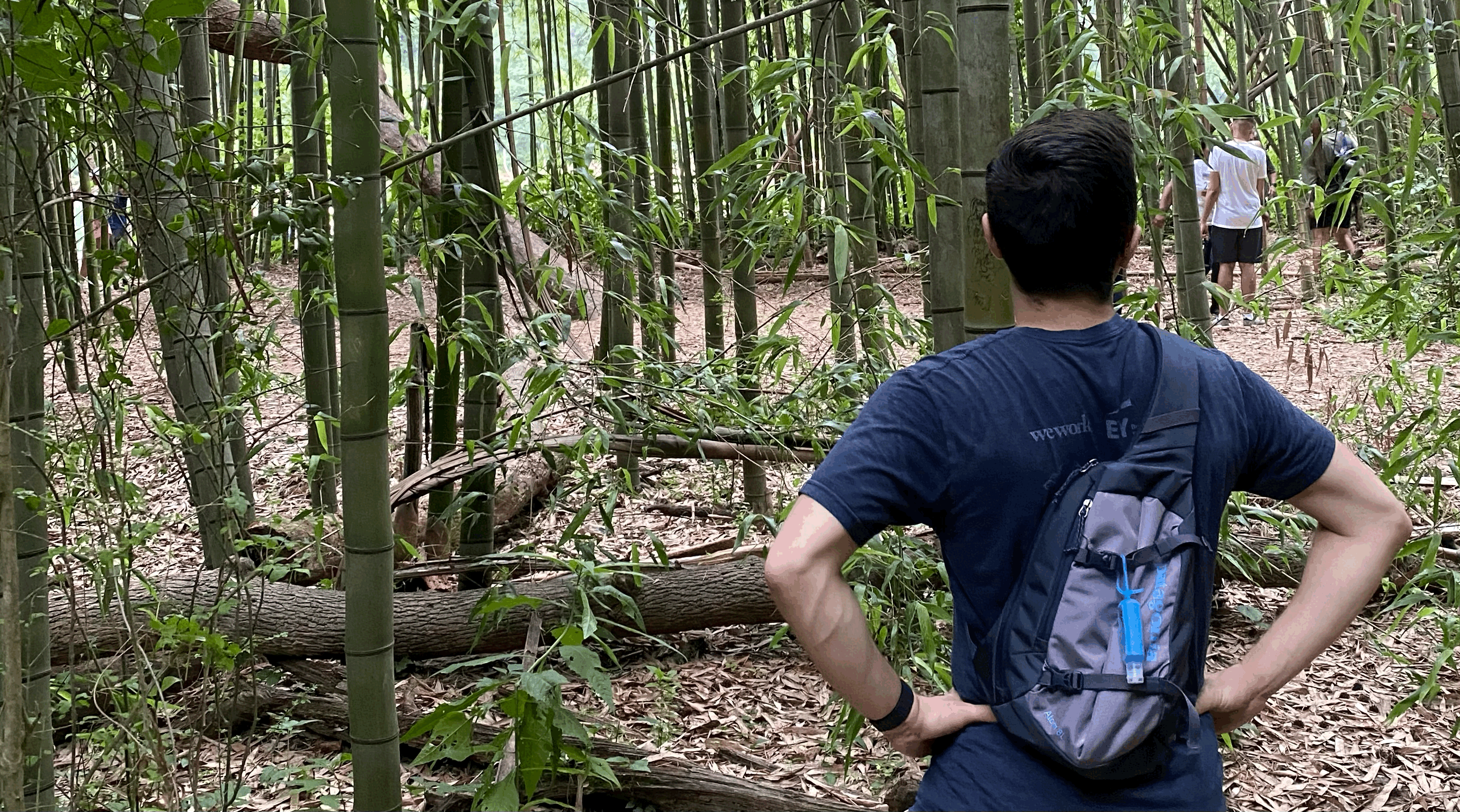 Image of the author standing, facing trees and a hiking trail.